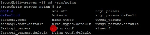 nginx_enable_https_p4