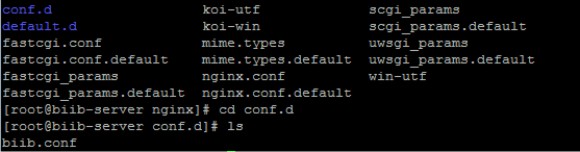 nginx_enable_https_p7